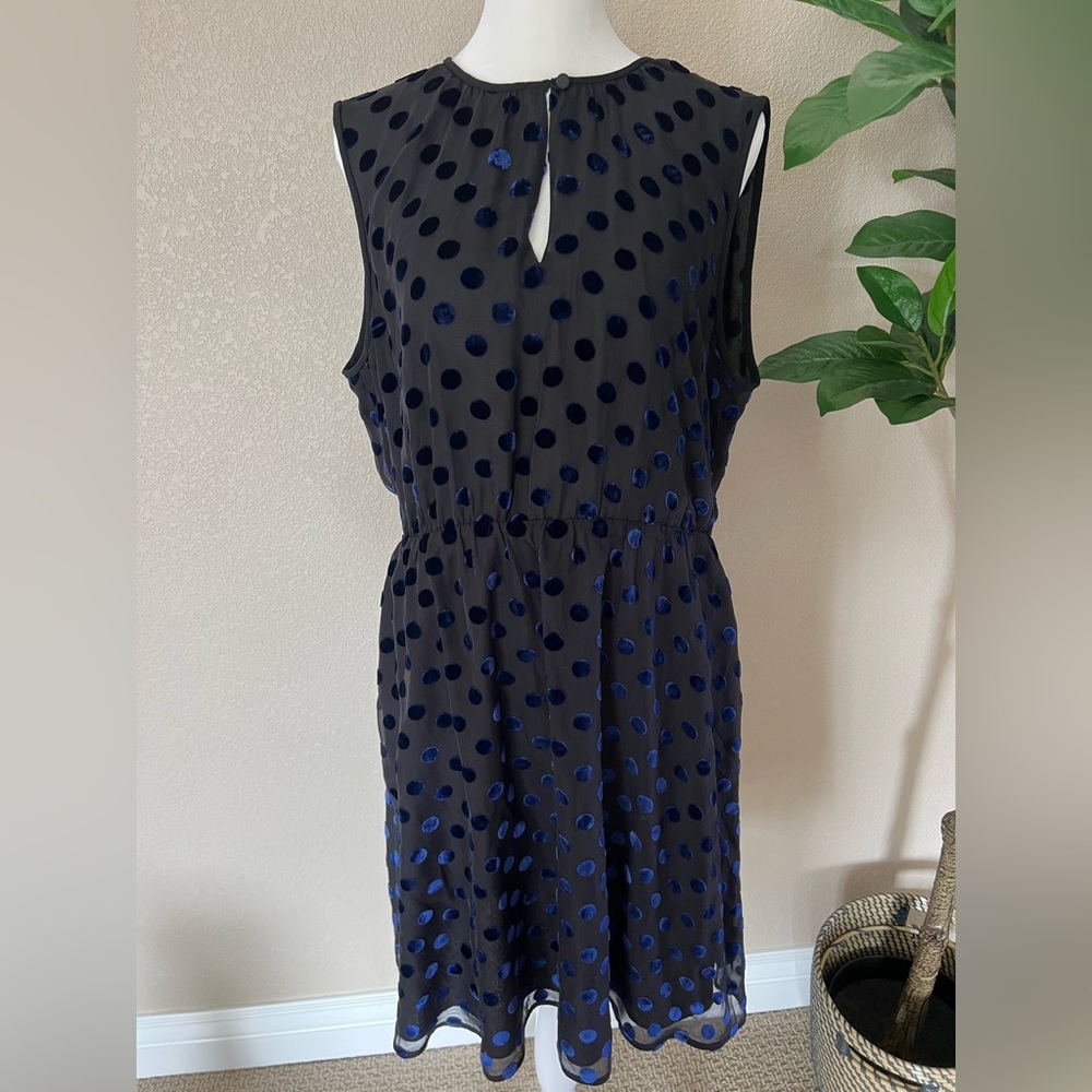 J.Crew 12 black sheer with blue velvety dots